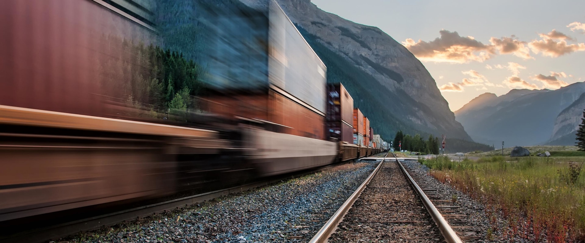 The Benefits of Positive Shipping Service Reviews
