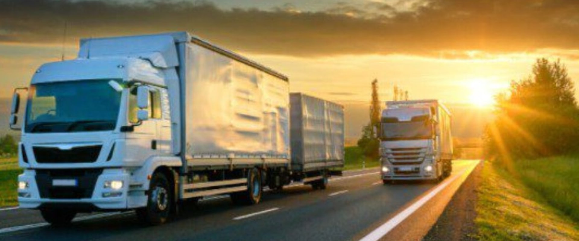 Positive Reviews on Transportation Services